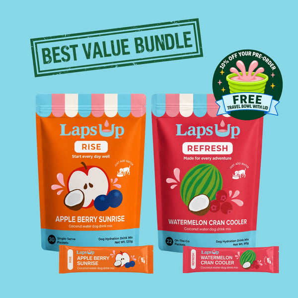 The Complete LapsUp Bundle • 52 Servings • Just Add Water
30 RISE sticks and 22 REFRESH sticks.
The LapsUp Bundle includes both&nbsp;RISE and REFRESH, designed for every morning, every adventure, and everything in between.