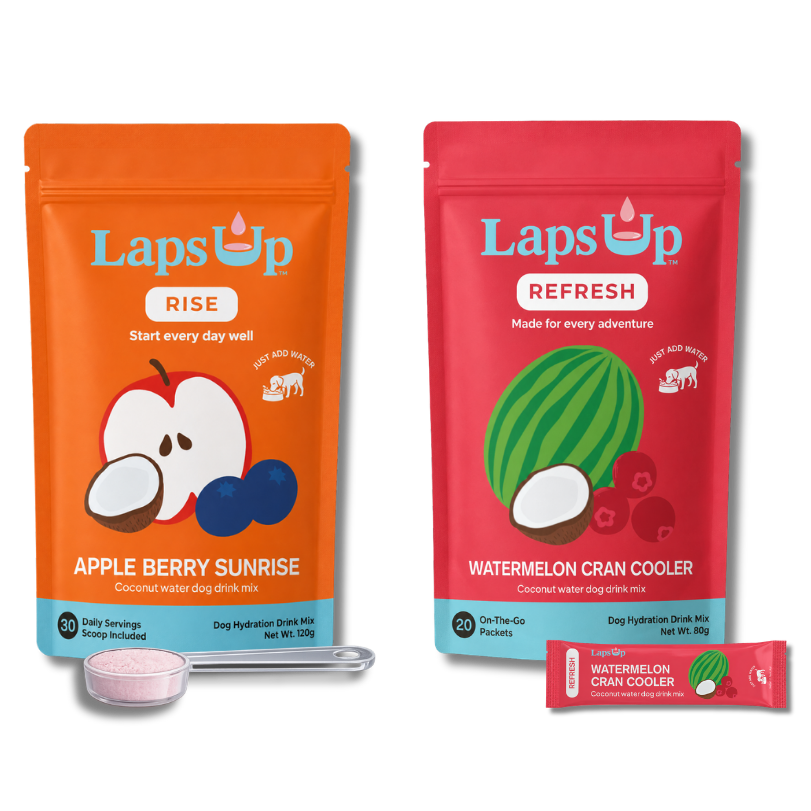 LapsUp RISE + REFRESH coconut water dog drink mixes.