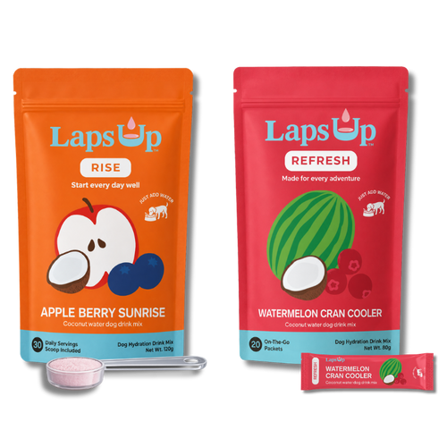 LapsUp RISE + REFRESH coconut water dog drink mixes.