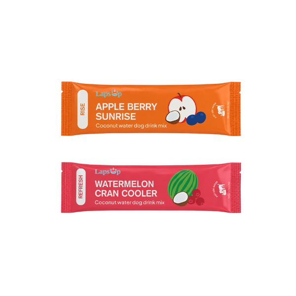 Sample RISE Every Morning + REFRESH On-The-Go