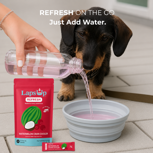 REFRESH On-The-Go  | Watermelon Cran Cooler
