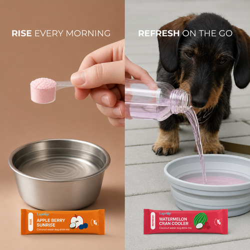 RISE Every Morning + REFRESH On-The-Go | Samples