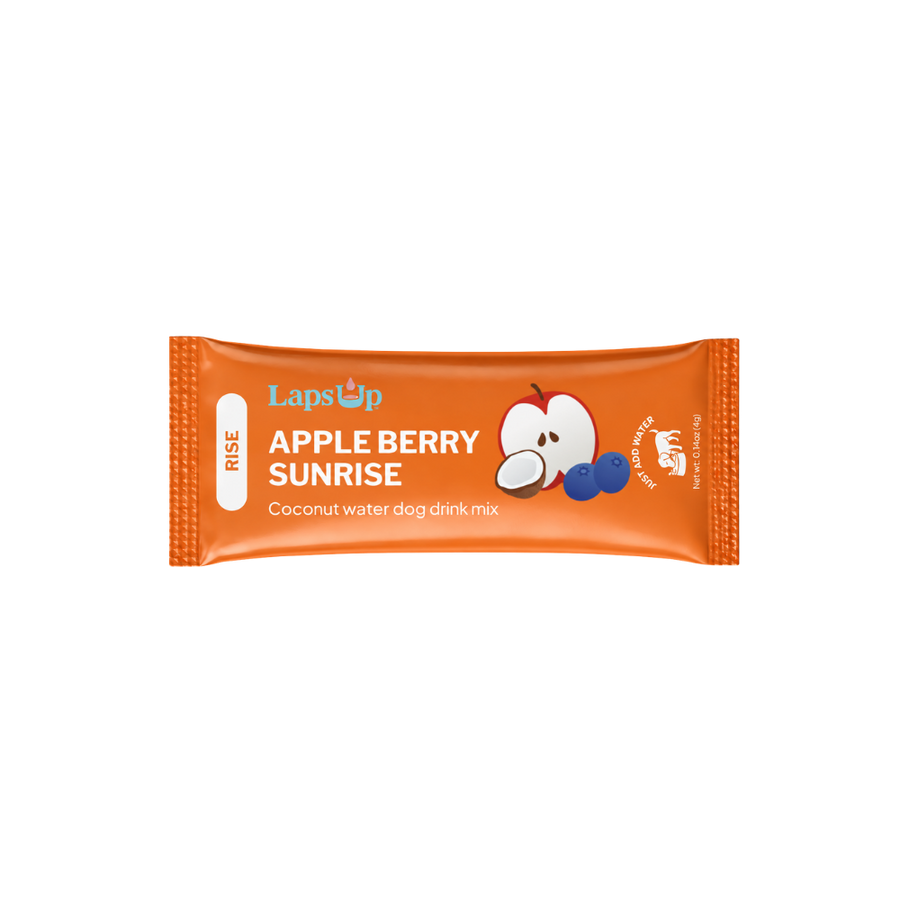RISE Single Serve Packet