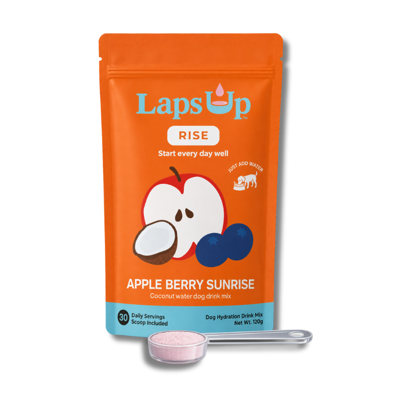 LapsUp Apple Berry Sunrise dog drink mix package with a spoon on a white background