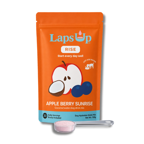 LapsUp Apple Berry Sunrise dog drink mix package with a spoon on a white background