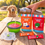 Collapsible Travel Bowl + Lid 2