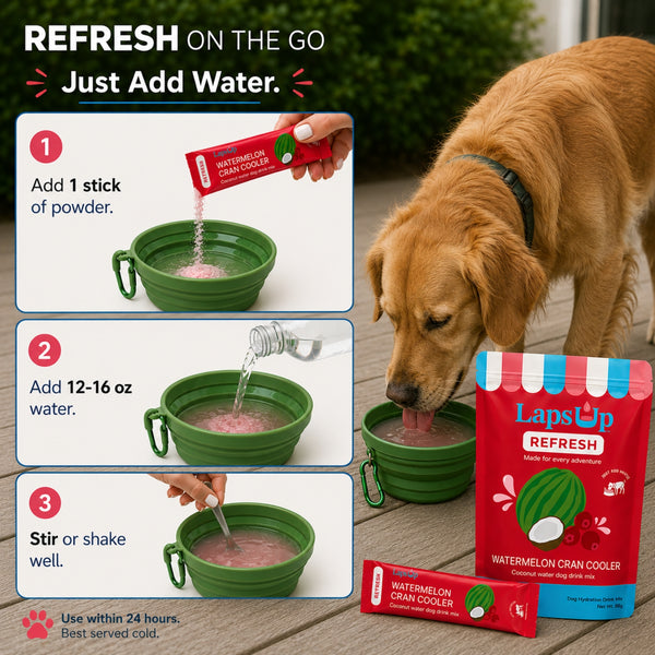 A golden retriever dog is shown drinking from a green collapsible bowl on a patio, with product packaging and a three-step instruction graphic on the left. The package and sachet read LapsUp Refresh Watermelon Cran Cooler.