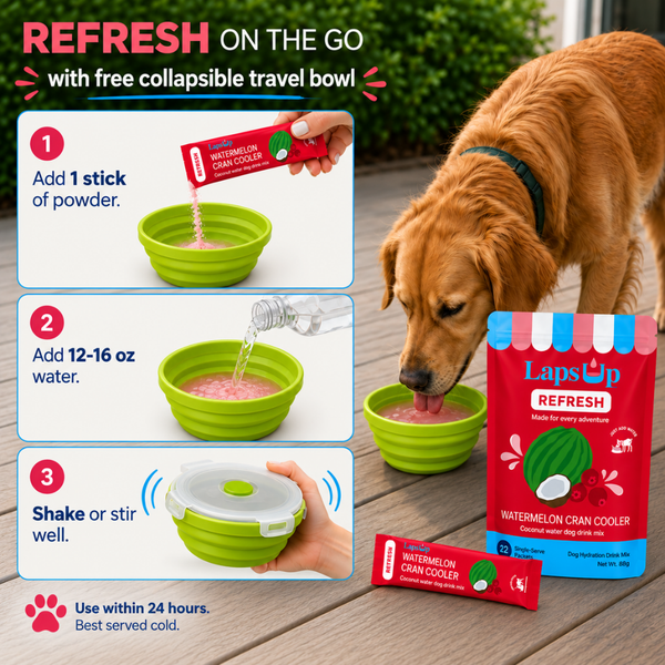 A golden retriever dog drinks from a green collapsible bowl on a wooden deck, with step-by-step instructions on the left and product packaging shown on the right. The product is a REFRESH watermelon cran cooler coconut water drink for dogs by LapsUp.