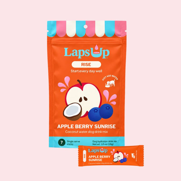 LapsUp RISE Apple Berry Sunrise dog hydration drink mix pouch shown on a light blue background, with a smaller single-serve stick pack in front and a green '$10 Morning Pack' badge at the top right.