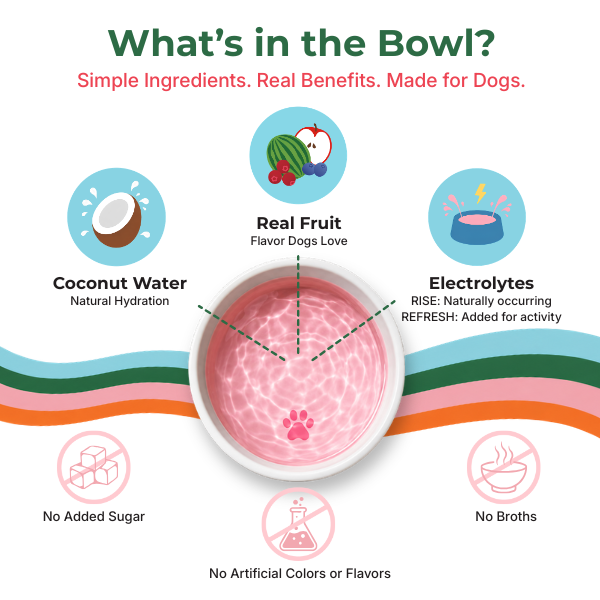 LapsUp contains simple ingredients with real benefit for dogs.  It has coconut water for natural hydration and real fruit. LapsUp REFRESH also contains added electrolytes for after every adventure.