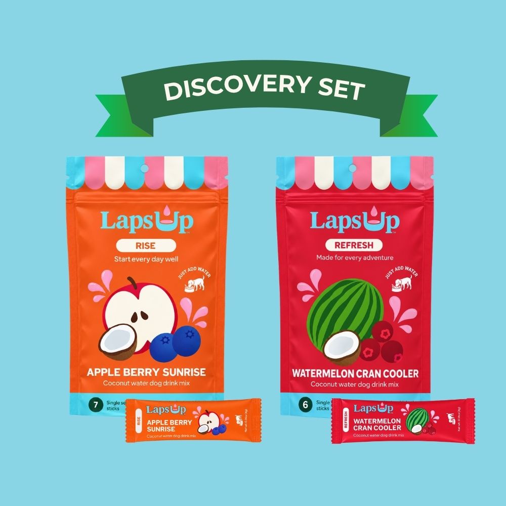A LapsUp RISE + REFRESH 'Discovery Set' bundle, featuring two pouches of coconut water dog drink mix (Apple Berry Sunrise and Watermelon Cran Cooler) and two individual stick packs, presented on a light blue background with a green 'DISCOVERY SET' banner and a '$20 / TRY BOTH / FREE SHIPPING' badge.
