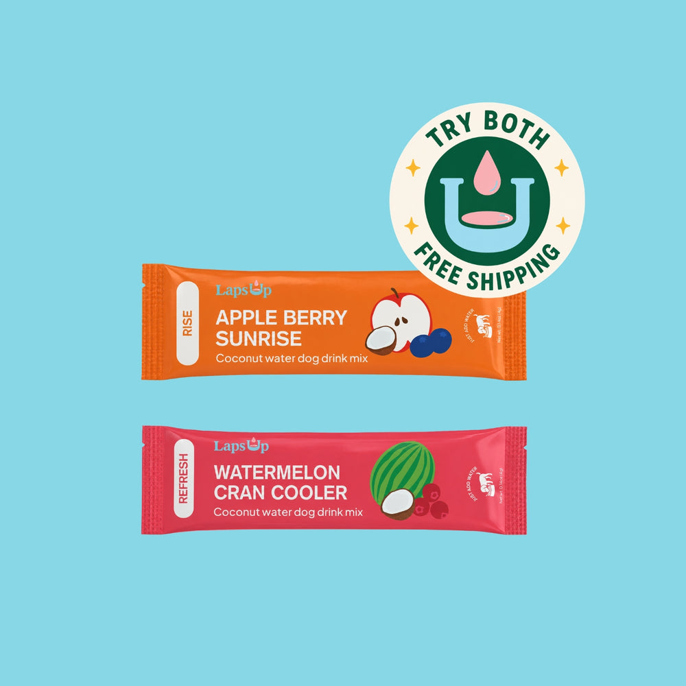 Try RISE + REFRESH
