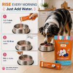 RISE Morning Pack 2